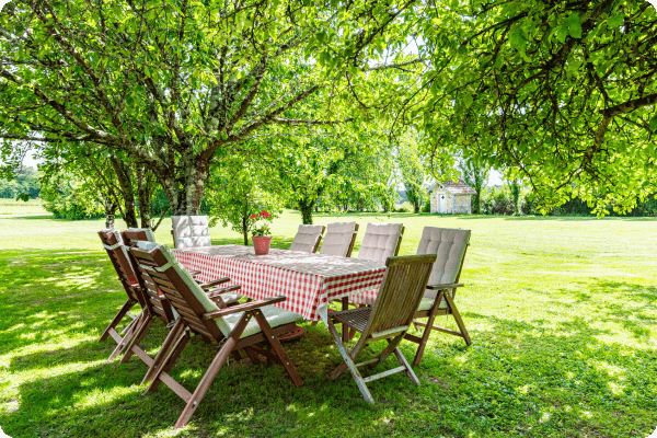 Seating in orchard on a summers day